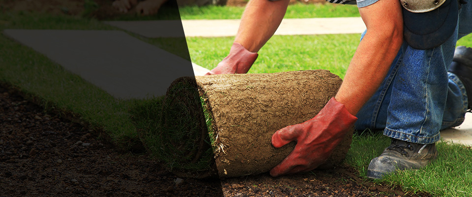 Westerly Landscapers